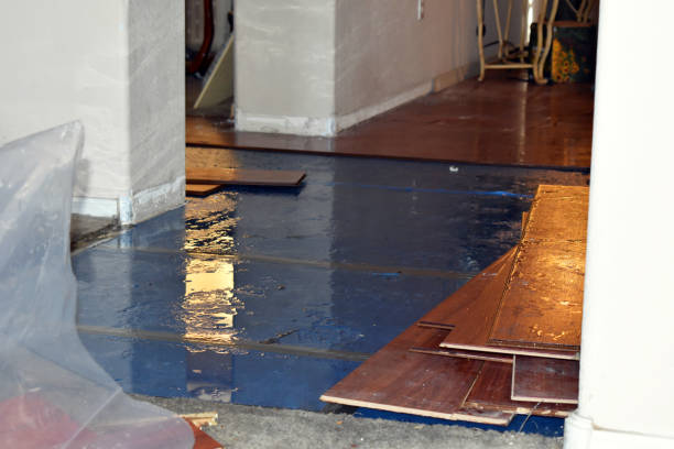 Professional Flood Cleanup technician working in Elwood, IN